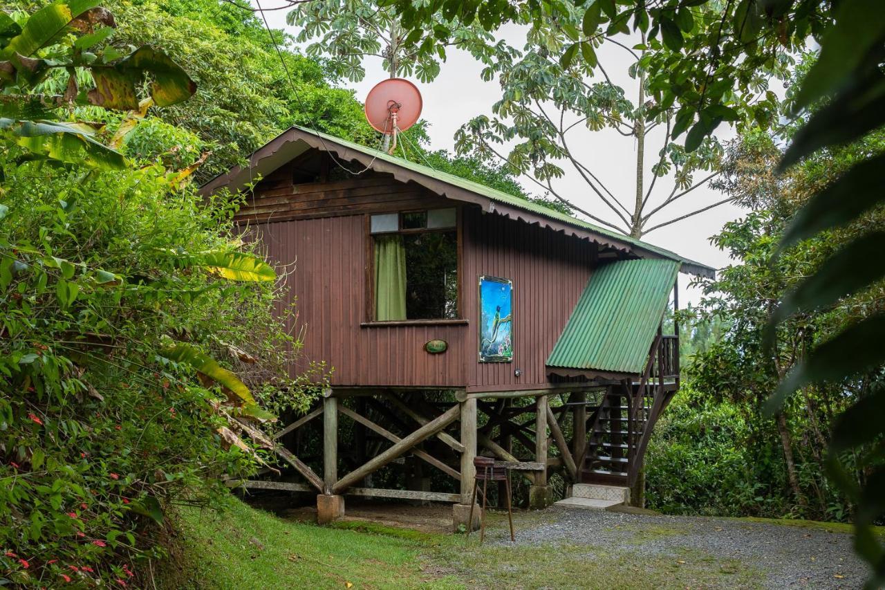 טוריאלבה Cabanas El Bosque מראה חיצוני תמונה