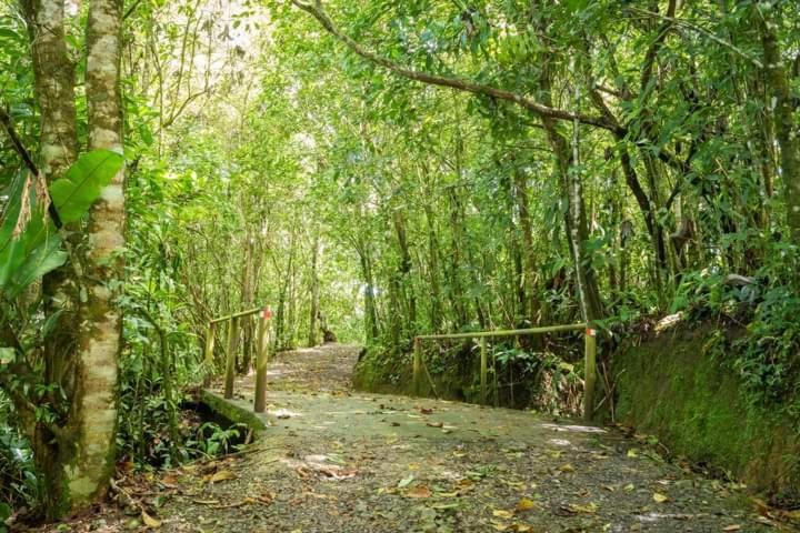 טוריאלבה Cabanas El Bosque מראה חיצוני תמונה