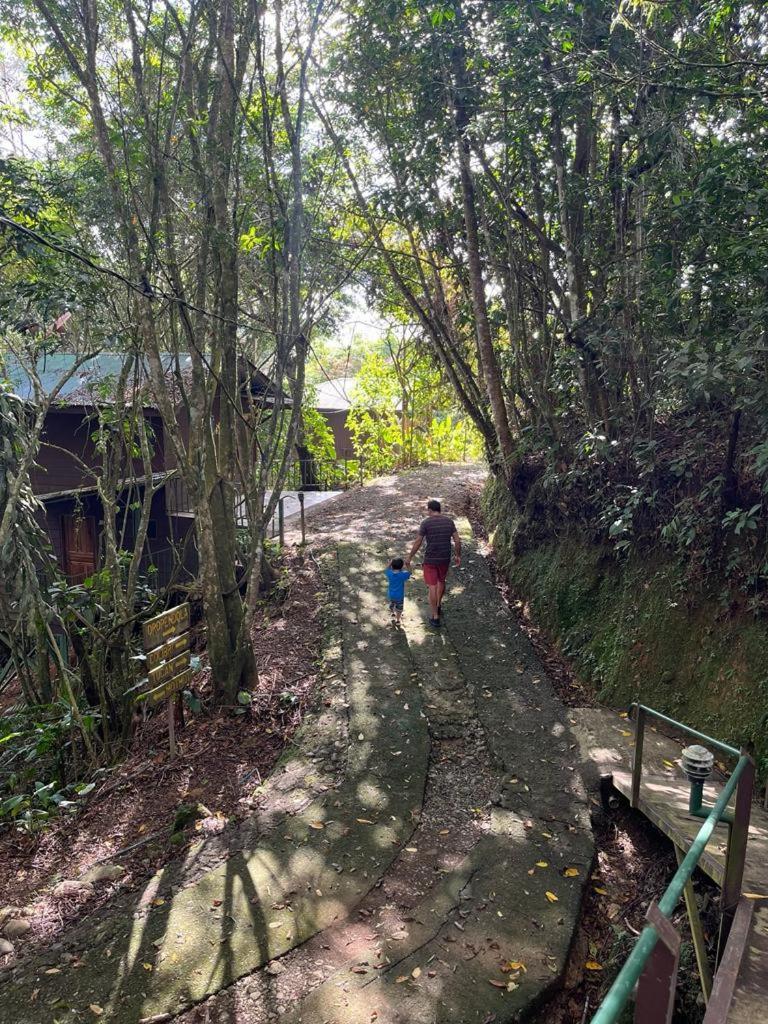 טוריאלבה Cabanas El Bosque מראה חיצוני תמונה